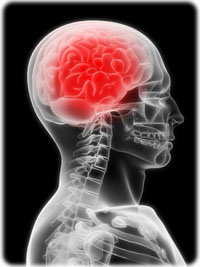 meningite-cerveau-meninges-soft.jpg